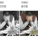 짜장마켓 이미지