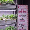주식회사투데이팜