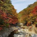 국립유명산자연휴양림 이미지