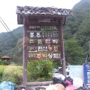 든돌민박 이미지