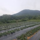 재호팜스토리 이미지