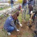 호수동행정복지센터 이미지