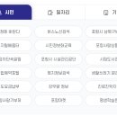 포항시청 티스토리