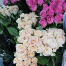 딱조은 | 부모님 선물로 딱 좋은 꽃다발 │ 춘천 꽃도소매 조은생화 방문 후기