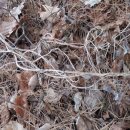 방글농장 이미지