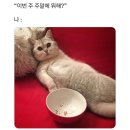 이게나야~뚜밥뚜밥
