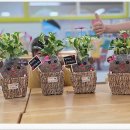 동구초등학교(병설) 이미지