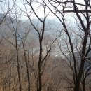 늘목리 진료소 Daum카페