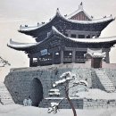 내 삶의 레시피 - 詩 | 타인의 평가에 자존감이 무너질 땐, 화조도(花鳥圖)