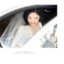 로제포토그래피 이미지