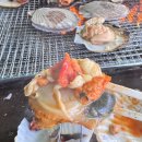 강원도 고성 맛집 백도수산 가리비 후기 &amp; 핵꿀팁