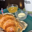 애비로드 | 켄싱턴 호텔 설악 애비로드 설악산 카페 퇴실 후 커피 내돈내산