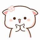 뮤즈폴댄스 이미지