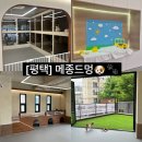뽀글뽀글 반려견 유치원&호텔 | [메종드멍] 평택 애견유치원/호텔 11살 노견이 다녀온 후기