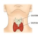 맑은샘내과의원 이미지