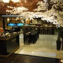 엑스포긴자 이미지