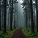 방화동가족휴가촌 가족휴양동 이미지