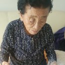 온누리대광당약국 Daum카페