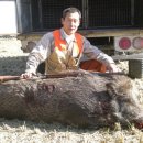 무풍면011 이미지