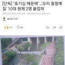 오리 돌팔매질 10대 학생(형제) 2명 붙잡힘 이미지