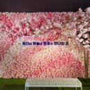 진해박물관 이미지