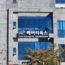 베버리 독스 이미지