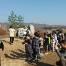 상승도장 이미지