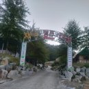 지니의 캠프 이미지