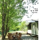 와라캠핑장 이미지