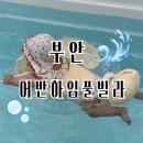씨유 모항소나무에 노을점 | 전북) 아이와 함께 가기좋은 펜션 부안 어반하임풀라 오션뷰 노을맛집
