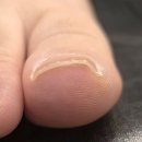 누빌샵1 이미지