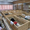 익산시농업기술센터, 치유농업 일번지를 향한 힘찬 발걸음,,,논콩 재배 확대 위해 총력전