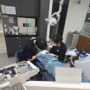 미소담은치과의원 네이버블로그