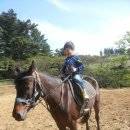 카우보이 이미지