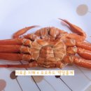 겨울식탁 | [제철 보양] 오오푸드 박달 홍게 &amp; 생굴 산지직송 후기: 겨울철 안신강녕을 위한 식탁