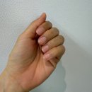 반디하우스 | 아이랑 써도 좋은 순한 핸드크림 추천 보습 오래가는 제품 ㅣ 반디 노르딕 디어 핸드크림 후기