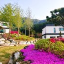 마호네펜션 이미지