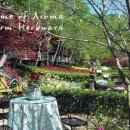 용항리경로당 이미지