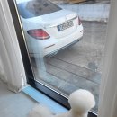 새침하개멍 이미지