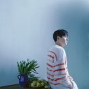 자연보검 이미지