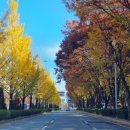 매향보건진료소 이미지