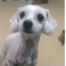 홈플러스 앞 이미지