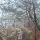최강체육관 | “의정부 사패산 봄 등산 후기｜가볍게 다녀오기 좋은 코스”