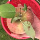 제령리 마을회관 이미지