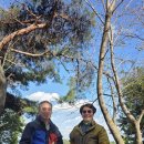 호계2동-2 이미지