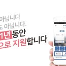 디디하이브