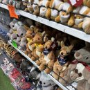 원이네하우스 | 피자브로스, 시드니 버스 타는 법, 호주 이솝 구매 후기, 부스트, 시드니 천문대 노을, 하이디라오 달링...