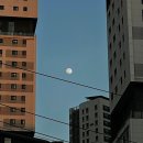 프렌즈스크린 사당남성역점 | 25/Feb. 여전히 여전해