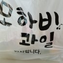 모하비과일