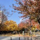 아이엠베이글 공덕점 이미지